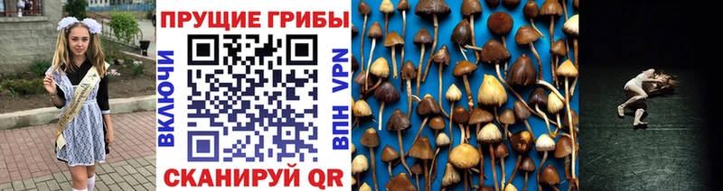 Галлюциногенные грибы Magic Shrooms  Купить  Петропавловск-Камчатский 